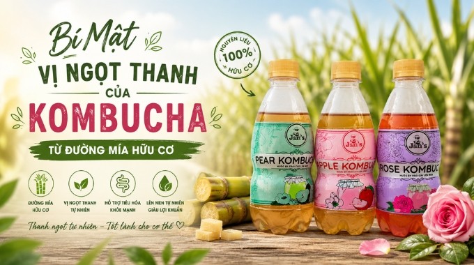 Bí Mật Vị Ngọt Thanh Của Kombucha Từ Đường Mía Hữu Cơ