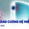 Cách tăng cường miễn dịch