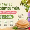 Tái Chế Nấm SCOBY Dư Thừa Sau Khi Ủ Kombucha Hiệu Quả