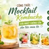 3 Công Thức Mocktail Kombucha Giải Nhiệt Cho Mùa Hè