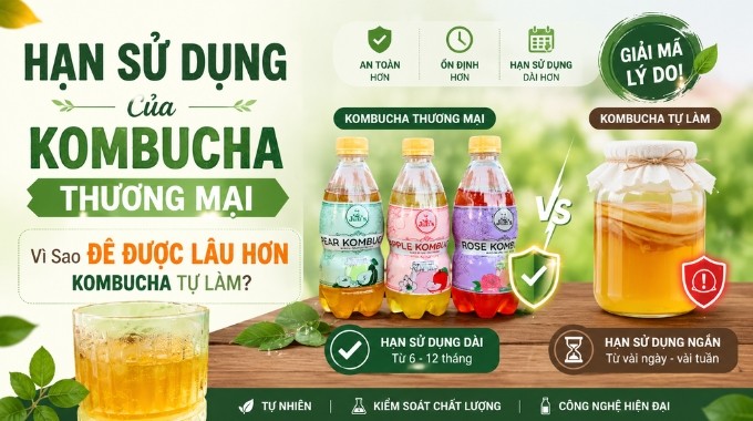 Hạn Sử Dụng Của Kombucha Thương Mại: Vì Sao Để Được Lâu Hơn Kombucha Tự Làm?
