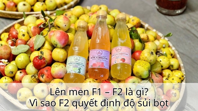 Lên men F1 – F2 là gì? Vì sao F2 quyết định độ sủi bọt