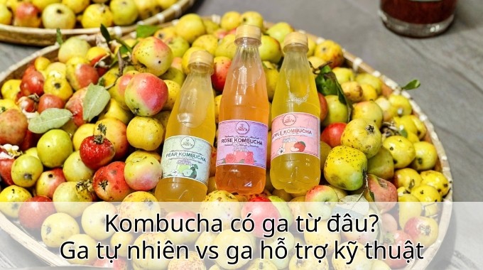 Kombucha có ga từ đâu? Ga tự nhiên vs ga hỗ trợ kỹ thuật