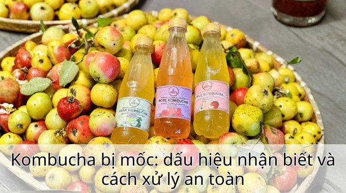 Kombucha bị mốc: dấu hiệu nhận biết và cách xử lý an toàn