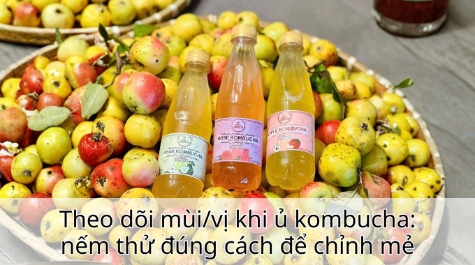 Theo dõi mùi/vị khi ủ kombucha: nếm thử đúng cách để chỉnh mẻ
