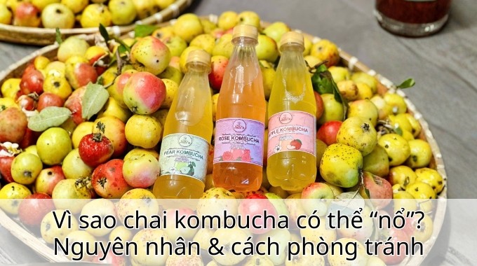 Vì sao chai kombucha có thể “nổ”? Nguyên nhân & cách phòng tránh