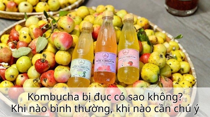 Kombucha bị đục có sao không? Khi nào bình thường, khi nào cần chú ý
