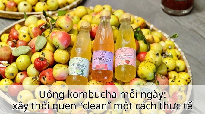 Uống kombucha mỗi ngày: xây thói quen “clean” một cách thực tế