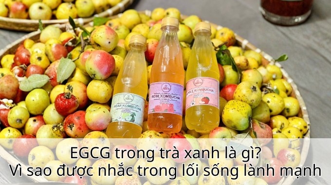 EGCG trong trà xanh là gì? Vì sao được nhắc trong lối sống lành mạnh