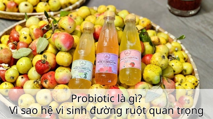 Probiotic là gì? Vì sao hệ vi sinh đường ruột quan trọng