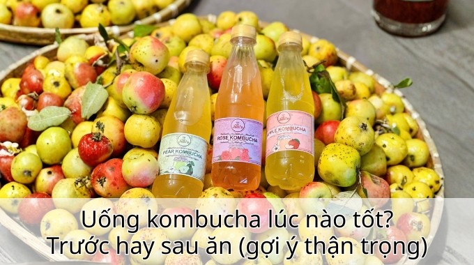 Uống kombucha lúc nào tốt? Trước hay sau ăn (gợi ý thận trọng)