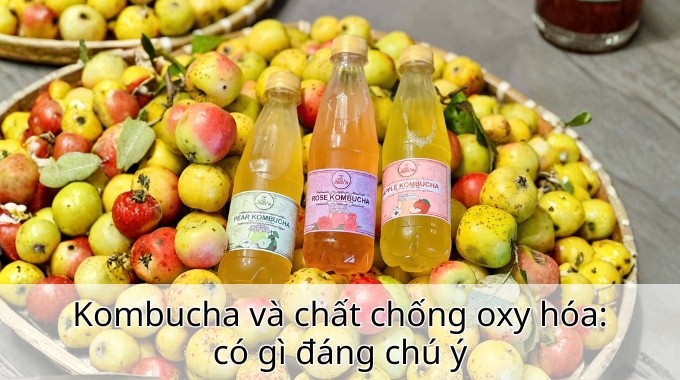 Kombucha và chất chống oxy hóa: có gì đáng chú ý