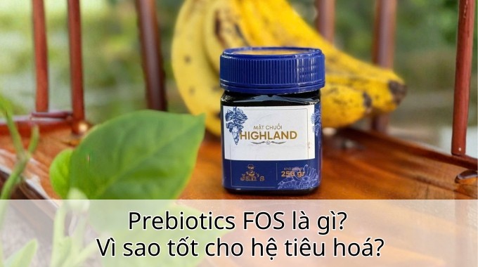 Prebiotics FOS là gì? Vì sao tốt cho hệ tiêu hoá?