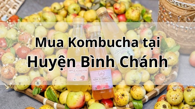 Top 5 địa chỉ bán Kombucha uy tín tại Huyện Bình Chánh TpHCM