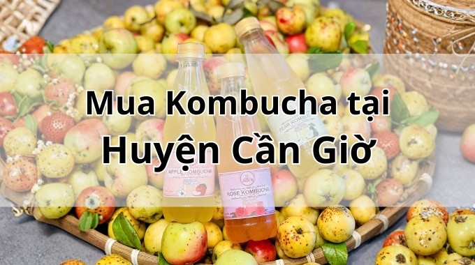 Top 5 địa chỉ bán Kombucha uy tín tại Huyện Cần Giờ TpHCM