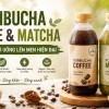 Kombucha Coffee & Matcha: Xu Hướng Đồ Uống Lên Men Hiện Đại