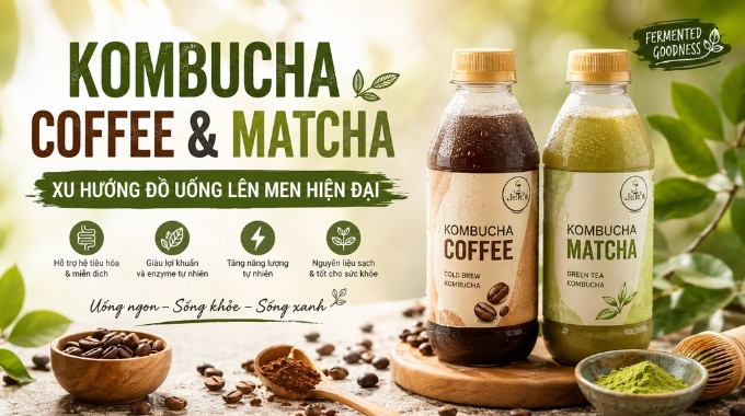 Kombucha Coffee & Matcha: Xu Hướng Đồ Uống Lên Men Hiện Đại