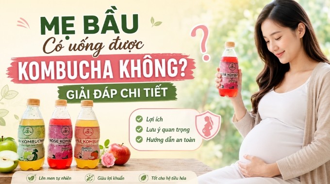 Mẹ Bầu Có Uống Được Kombucha Không? Giải Đáp Chi Tiết