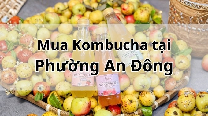 Top 5 địa chỉ bán Kombucha uy tín tại Phường An Đông TpHCM