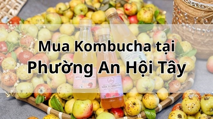Top 5 địa chỉ bán Kombucha uy tín tại Phường An Hội Tây TpHCM