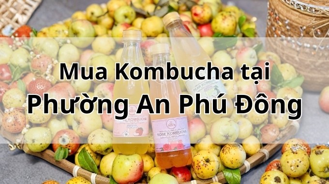 Top 5 địa chỉ bán Kombucha uy tín tại Phường An Phú Đông TpHCM