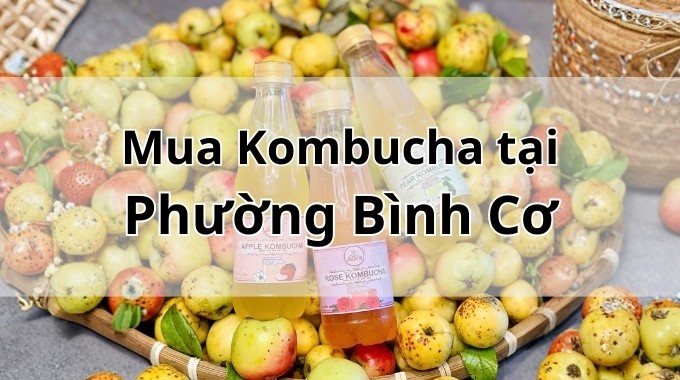 Top 5 địa chỉ bán Kombucha uy tín tại Phường Bình Cơ TpHCM