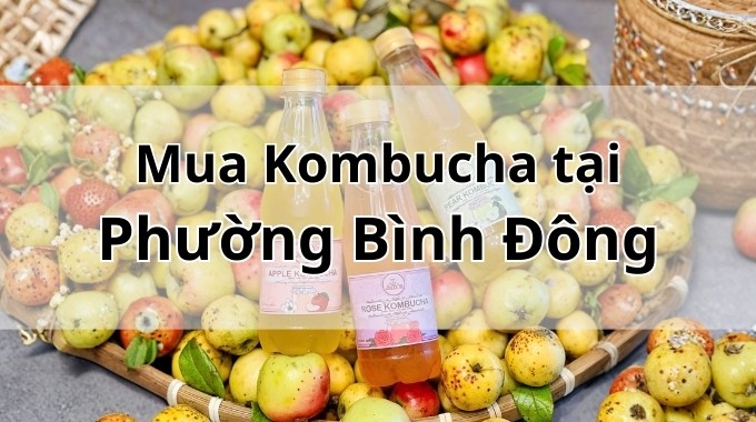Top 5 địa chỉ bán Kombucha uy tín tại Phường Bình Đông TpHCM
