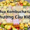 Top 5 địa chỉ bán Kombucha uy tín tại Phường Cầu Kiệu TpHCM
