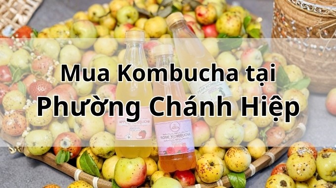 Top 5 địa chỉ bán Kombucha uy tín tại Phường Chánh Hiệp TpHCM
