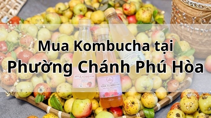 Top 5 địa chỉ bán Kombucha uy tín tại Phường Chánh Phú Hòa TpHCM