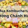 Top 5 địa chỉ bán Kombucha uy tín tại Phường Chánh Hưng TpHCM