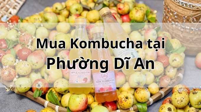 Top 5 địa chỉ bán Kombucha uy tín tại Phường Dĩ An TpHCM