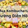 Top 5 địa chỉ bán Kombucha uy tín tại Phường Diên Hồng TpHCM