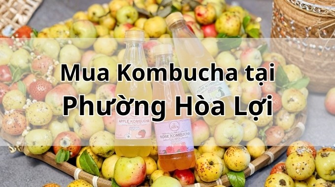 Top 5 địa chỉ bán Kombucha uy tín tại Phường Hòa Lợi TpHCM
