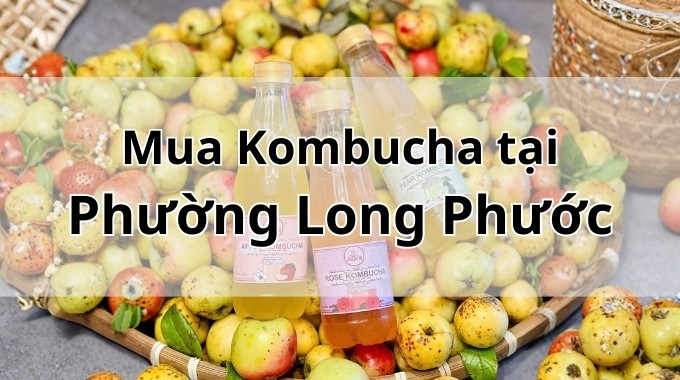 Top 5 địa chỉ bán Kombucha uy tín tại Phường Long Phước TpHCM