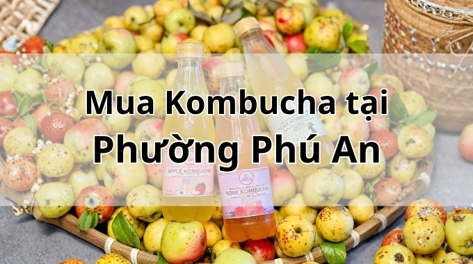 Top 5 địa chỉ bán Kombucha uy tín tại Phường Phú An TpHCM