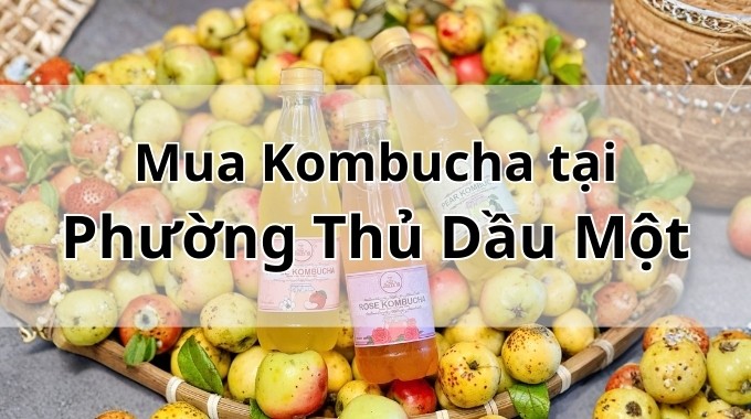 Top 5 địa chỉ bán Kombucha uy tín tại Phường Thủ Dầu Một TpHCM