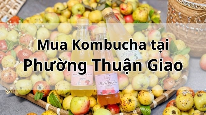 Top 5 địa chỉ bán Kombucha uy tín tại Phường Thuận Giao TpHCM
