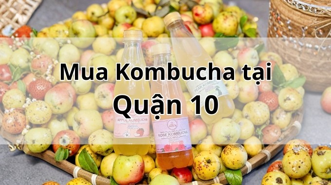 Top 5 địa chỉ bán Kombucha uy tín tại Quận 10 TpHCM