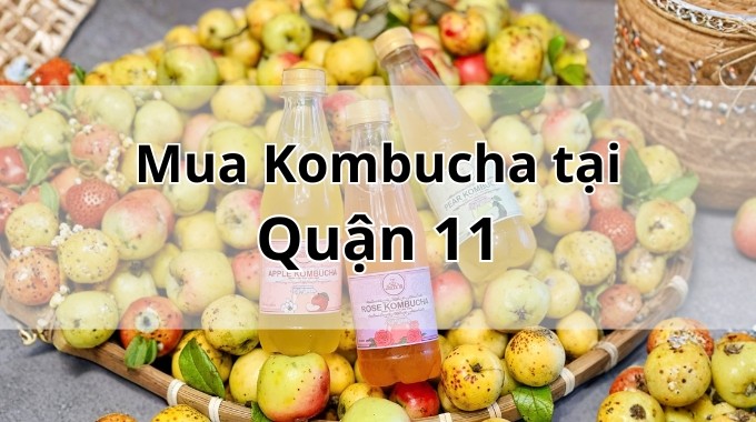 Top 5 địa chỉ bán Kombucha uy tín tại Quận 11 TpHCM