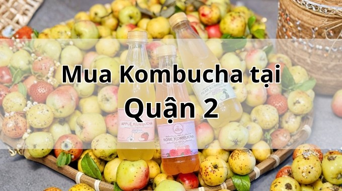 Top 5 địa chỉ bán Kombucha uy tín tại Quận 2 TpHCM