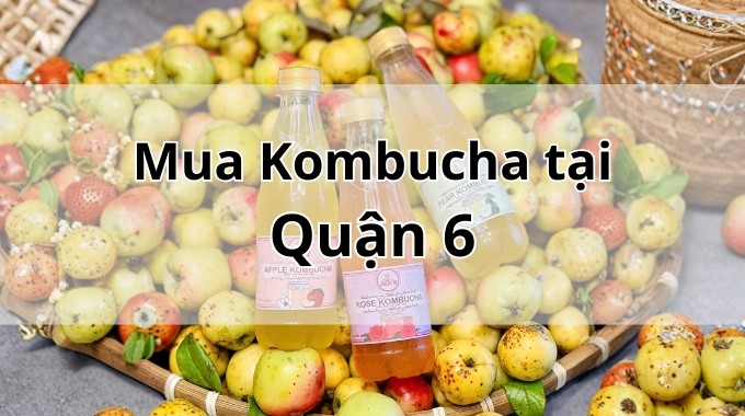 Top 5 địa chỉ bán Kombucha uy tín tại Quận 6 TpHCM
