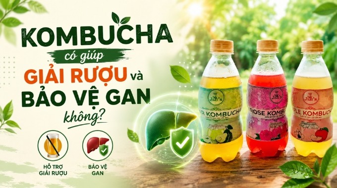 Kombucha có giúp giải rượu và bảo vệ gan không?