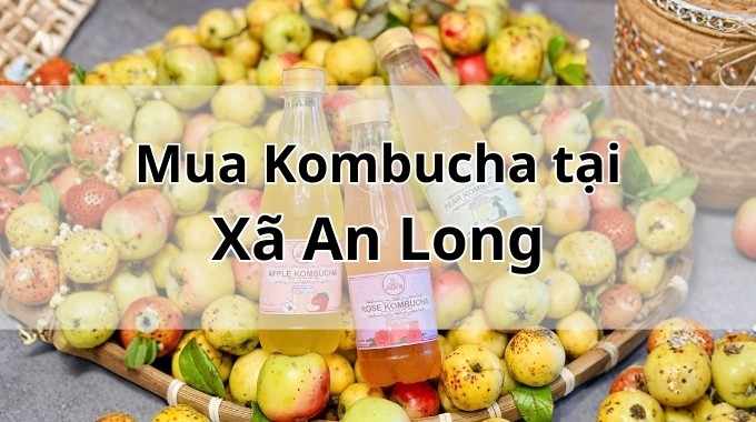 Top 5 địa chỉ bán Kombucha uy tín tại Xã An Long TpHCM
