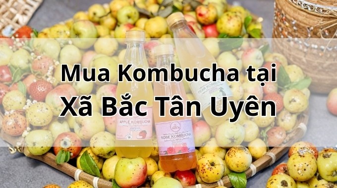 Top 5 địa chỉ bán Kombucha uy tín tại Xã Bắc Tân Uyên TpHCM