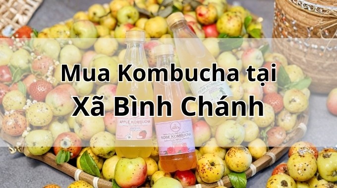Top 5 địa chỉ bán Kombucha uy tín tại Xã Bình Chánh TpHCM