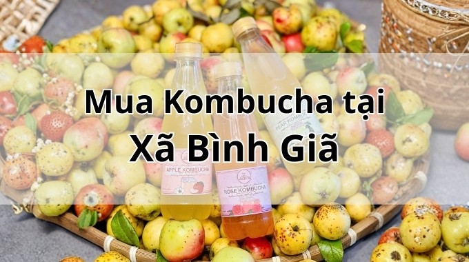 Top 5 địa chỉ bán Kombucha uy tín tại Xã Bình Giã TpHCM