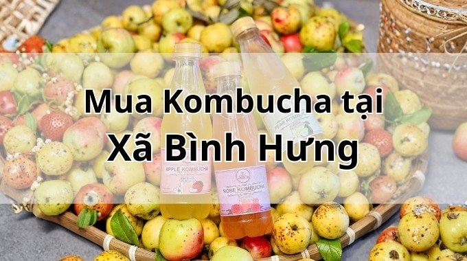 Top 5 địa chỉ bán Kombucha uy tín tại Xã Bình Hưng TpHCM