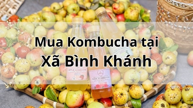 Top 5 địa chỉ bán Kombucha uy tín tại Xã Bình Khánh TpHCM