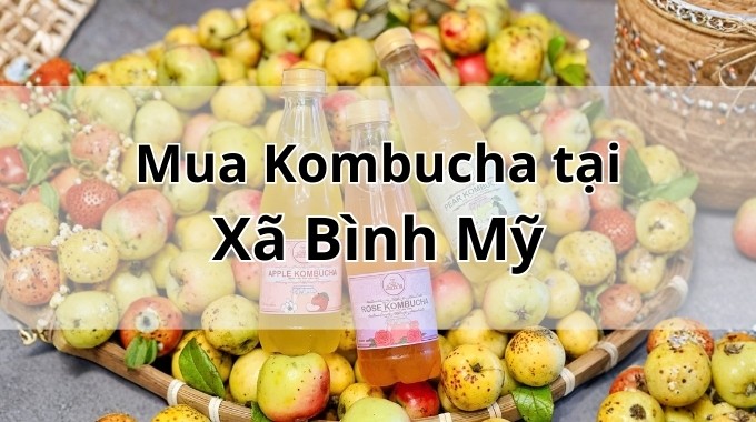 Top 5 địa chỉ bán Kombucha uy tín tại Xã Bình Mỹ TpHCM